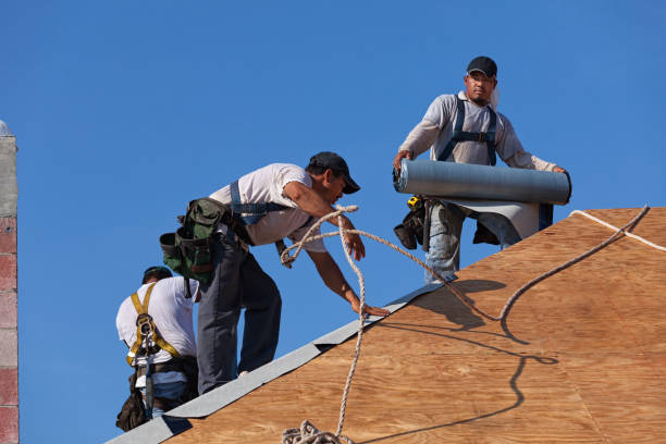 Best Roof Gutter Cleaning  in Grizzly Flats, CA